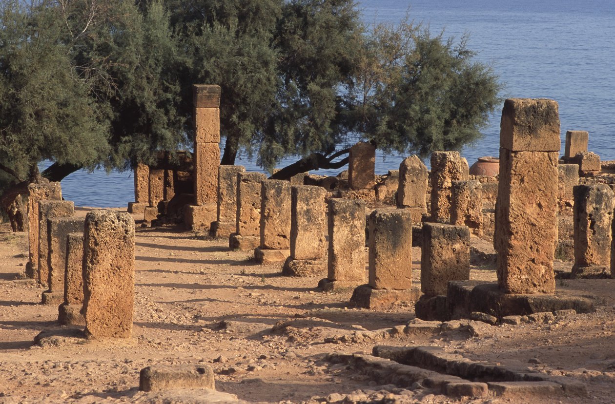 Cardo'nun görünümü by Roman