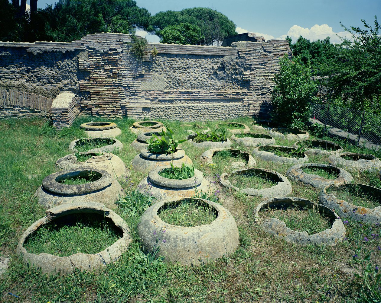 Dükkanların görünümü by Roman