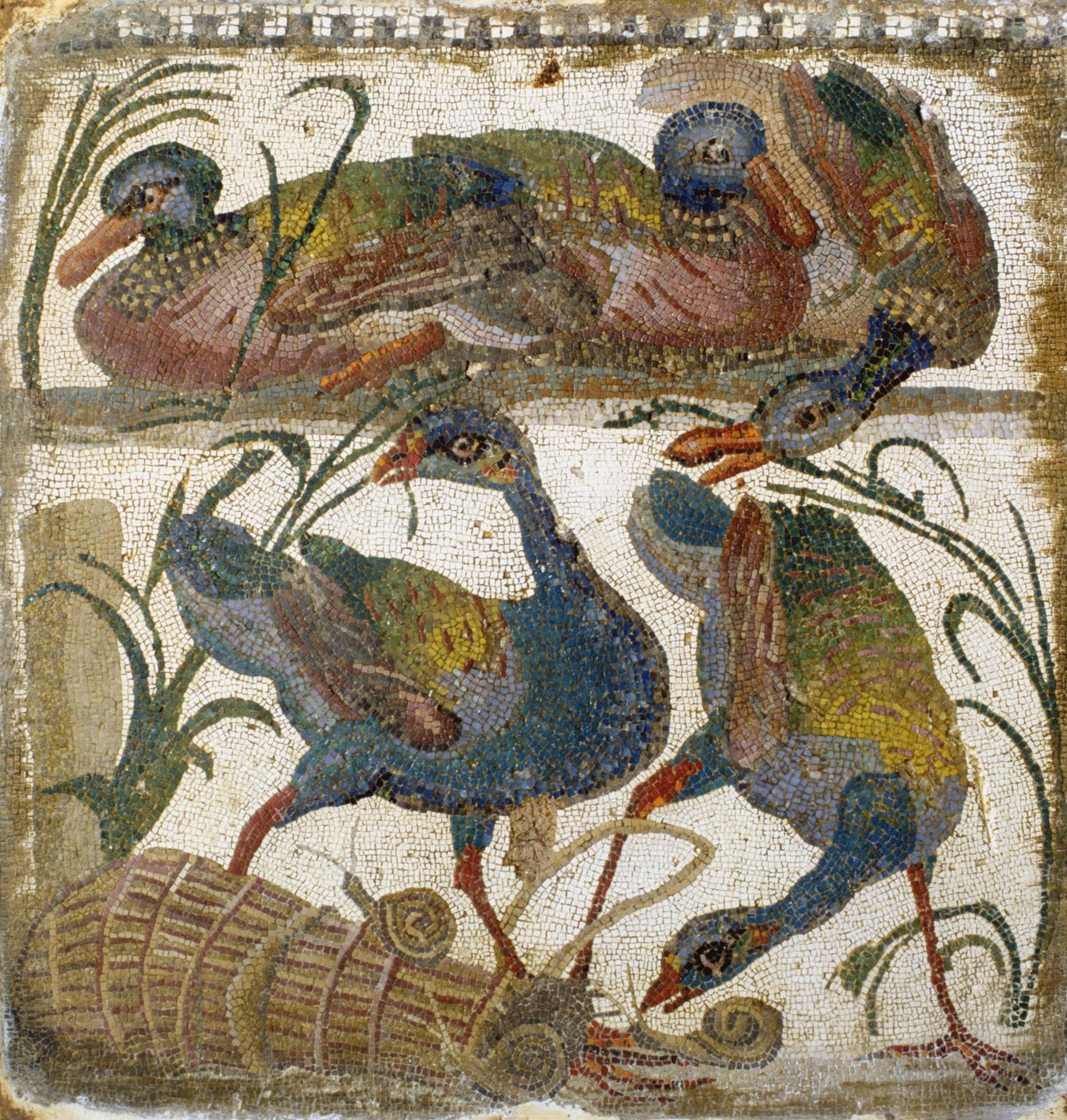 Su kuşları (mozaik) by Roman