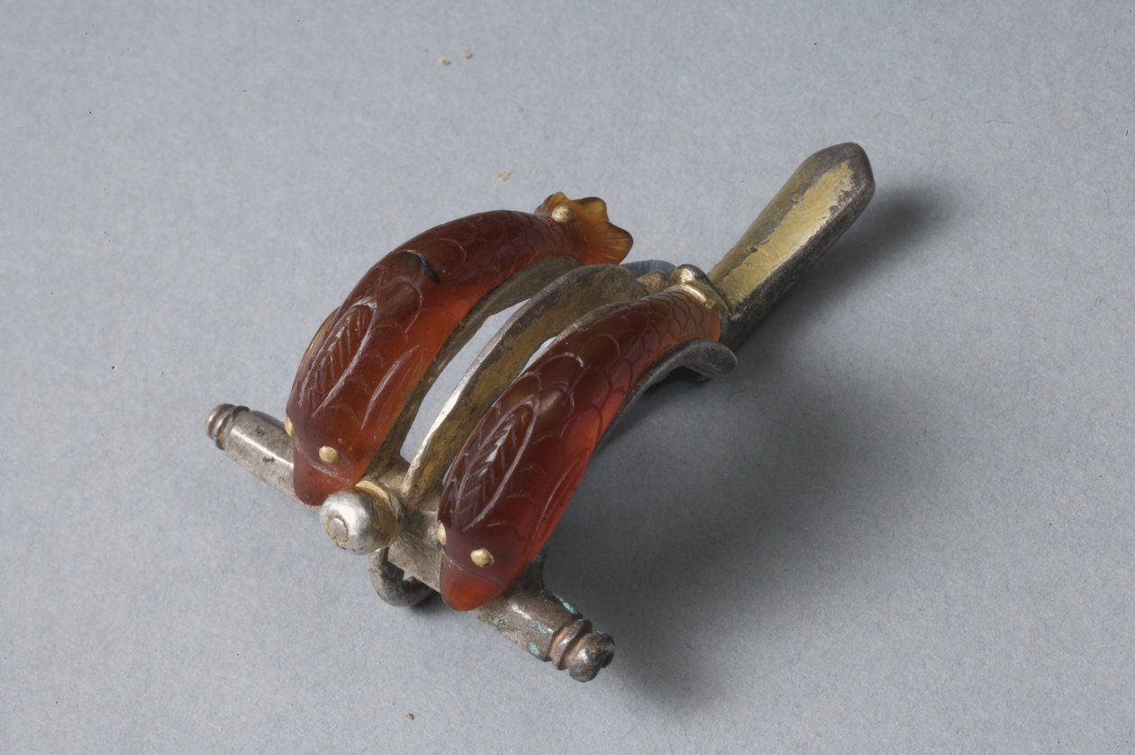 Yunuslarla fibula (carnelian, altın ve gümüş) by Roman Imperial Period
