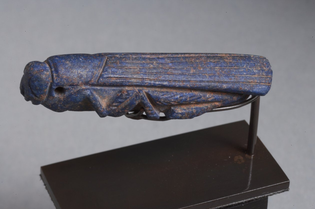 Yakın Doğu muska bir çekirge (lapis lazuli) by Roman Imperial Period