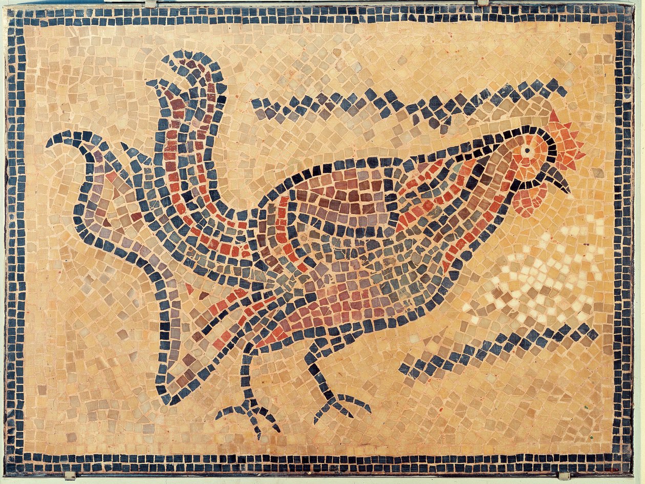 Tunus