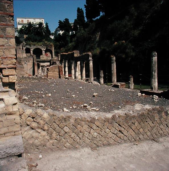 palestra by Roman Roman