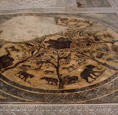 Vahşi hayvanlar, Orpheus Evi