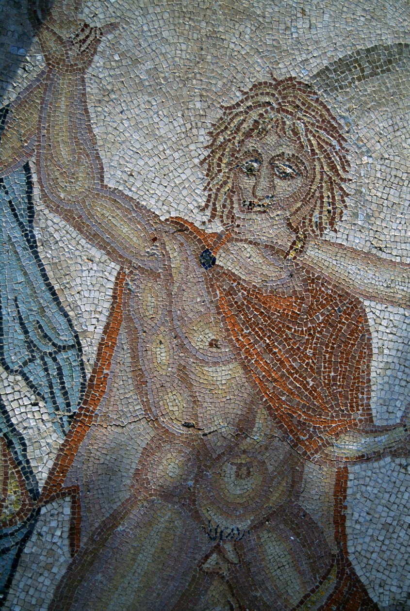 Hylas