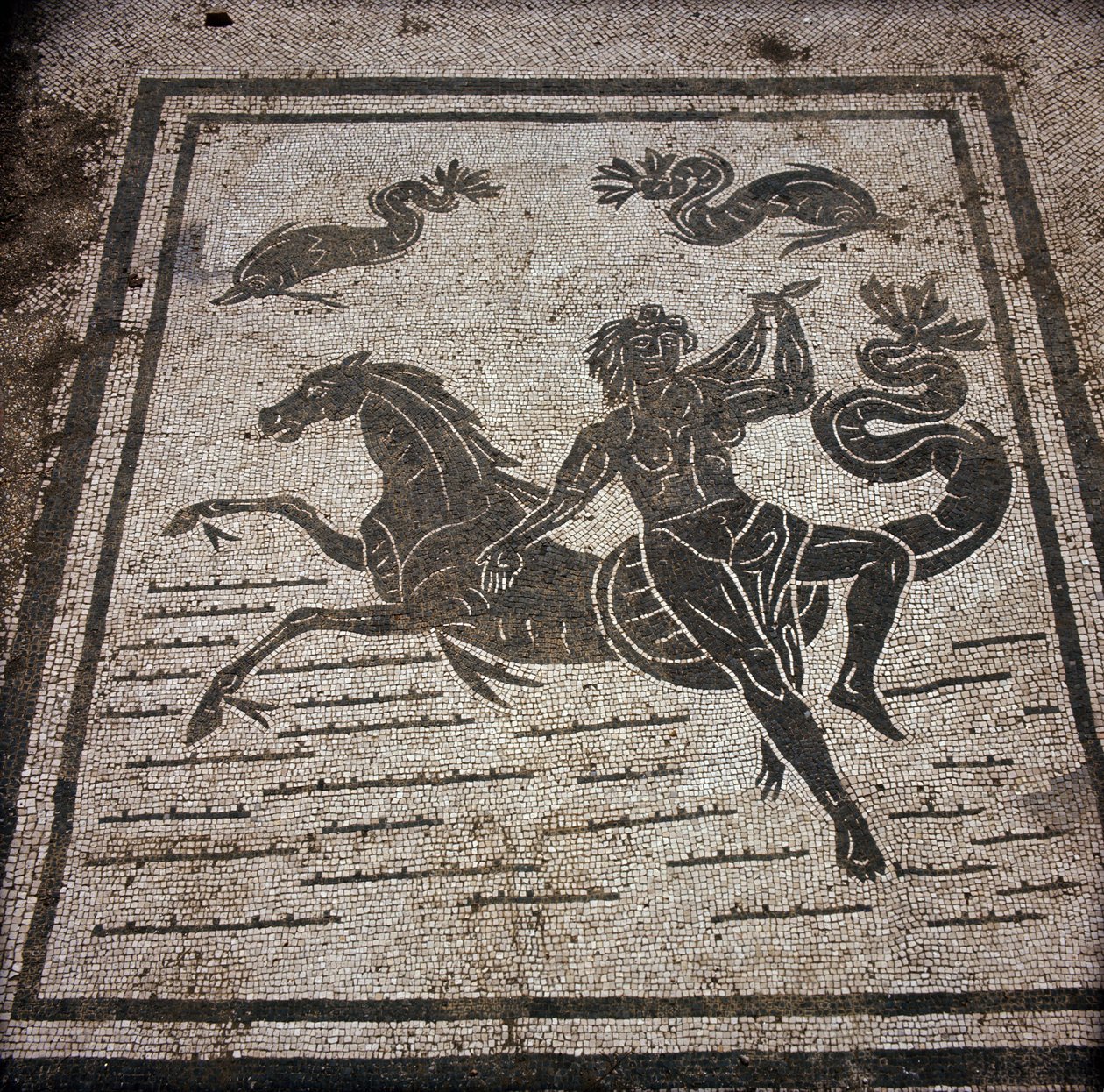 Antik Ostia (Ostia). Place des Corporations. Sabratha Denizciler Şirketi'nin mozaiği. Bir peri ve bir deniz atı. by Roman