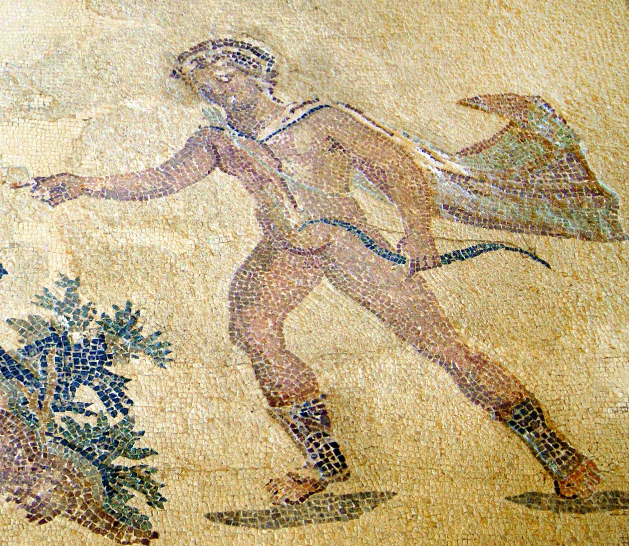 Apollon ve Daphne, Apollo