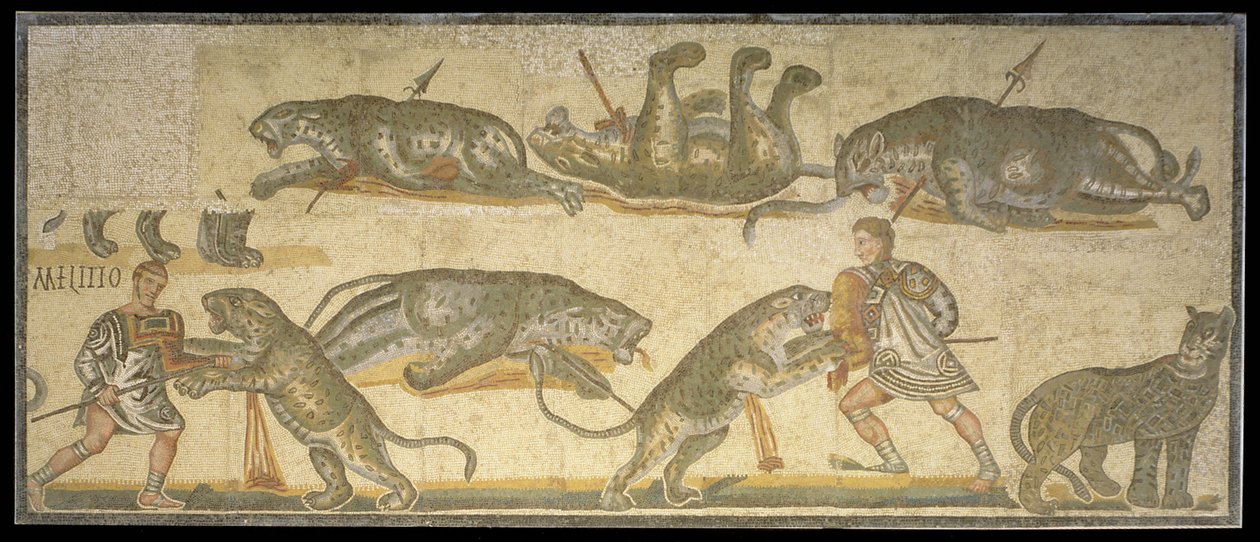 Gladyatörler ve Yaban Kedileri arasındaki savaş, MS 320 (mozaik) by Roman