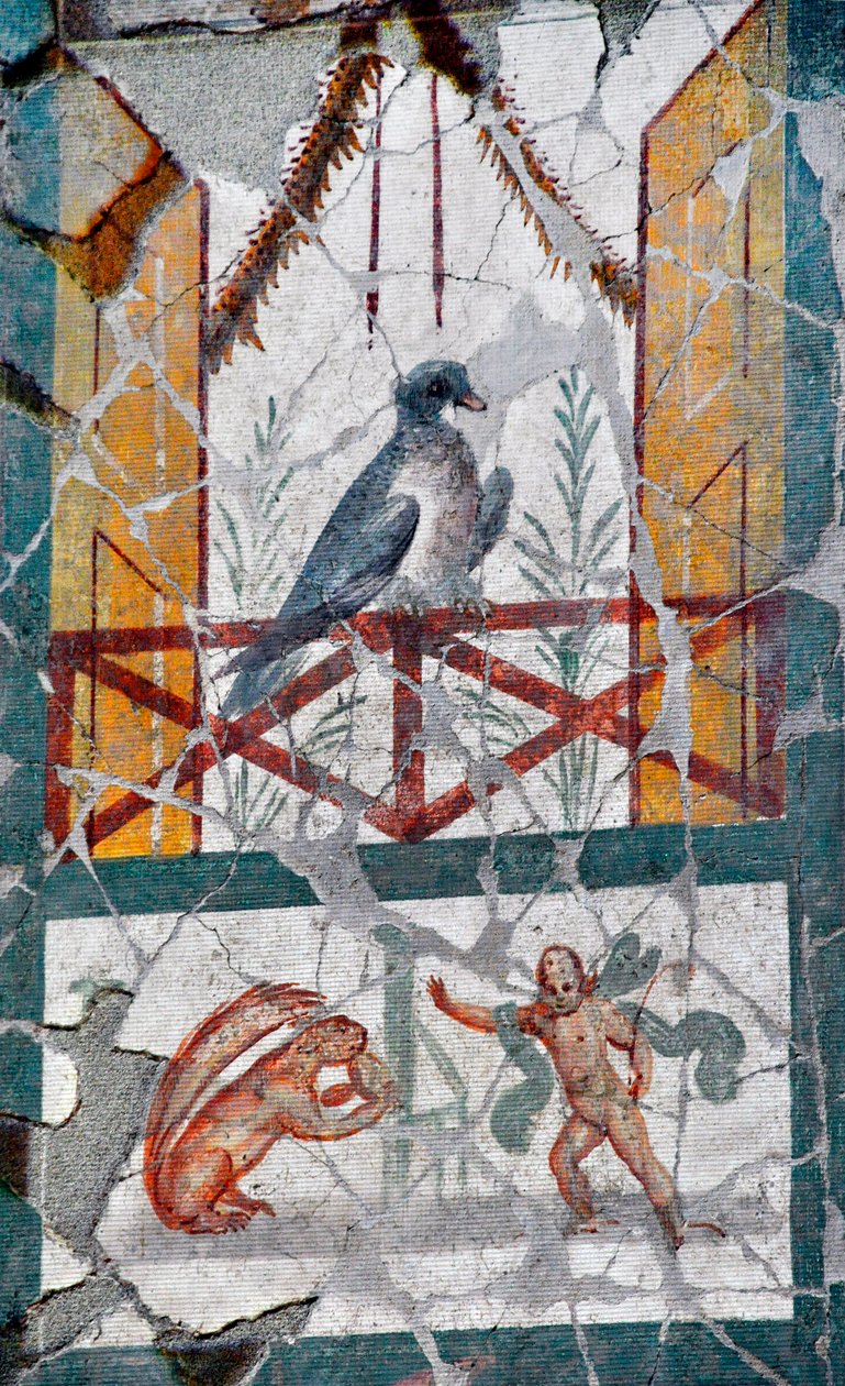 Balkona konan bir kuşun altında, bir Amour bir sincapla karşı karşıyadır. Geç 1. yüzyıl (fresk) by Roman