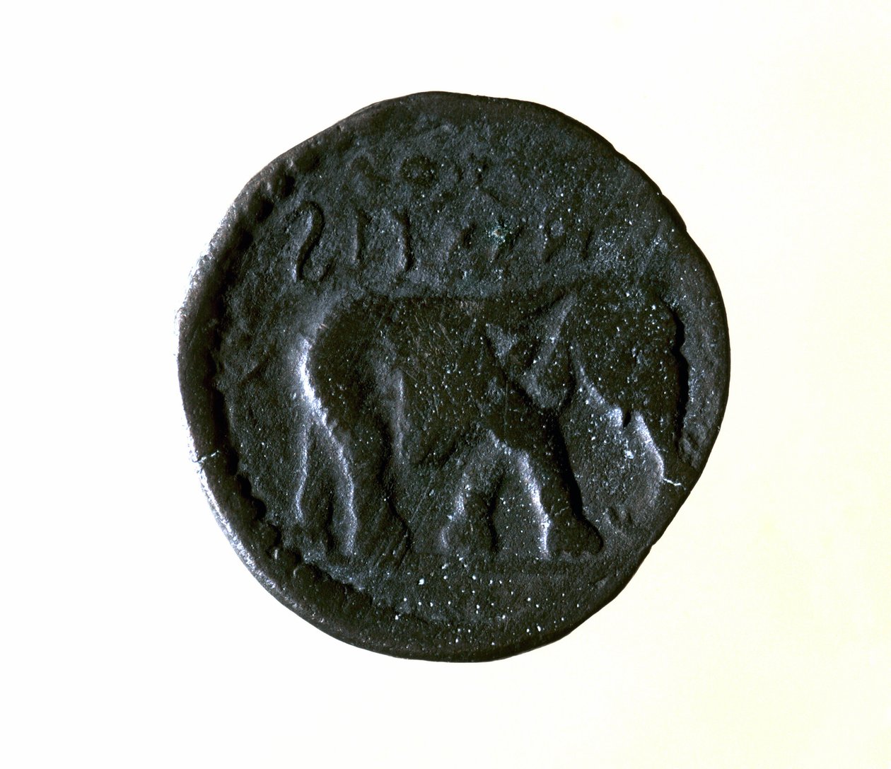 Bir fili temsil eden Kartaca parası. MÖ 3. veya 2. yüzyıl. by Roman
