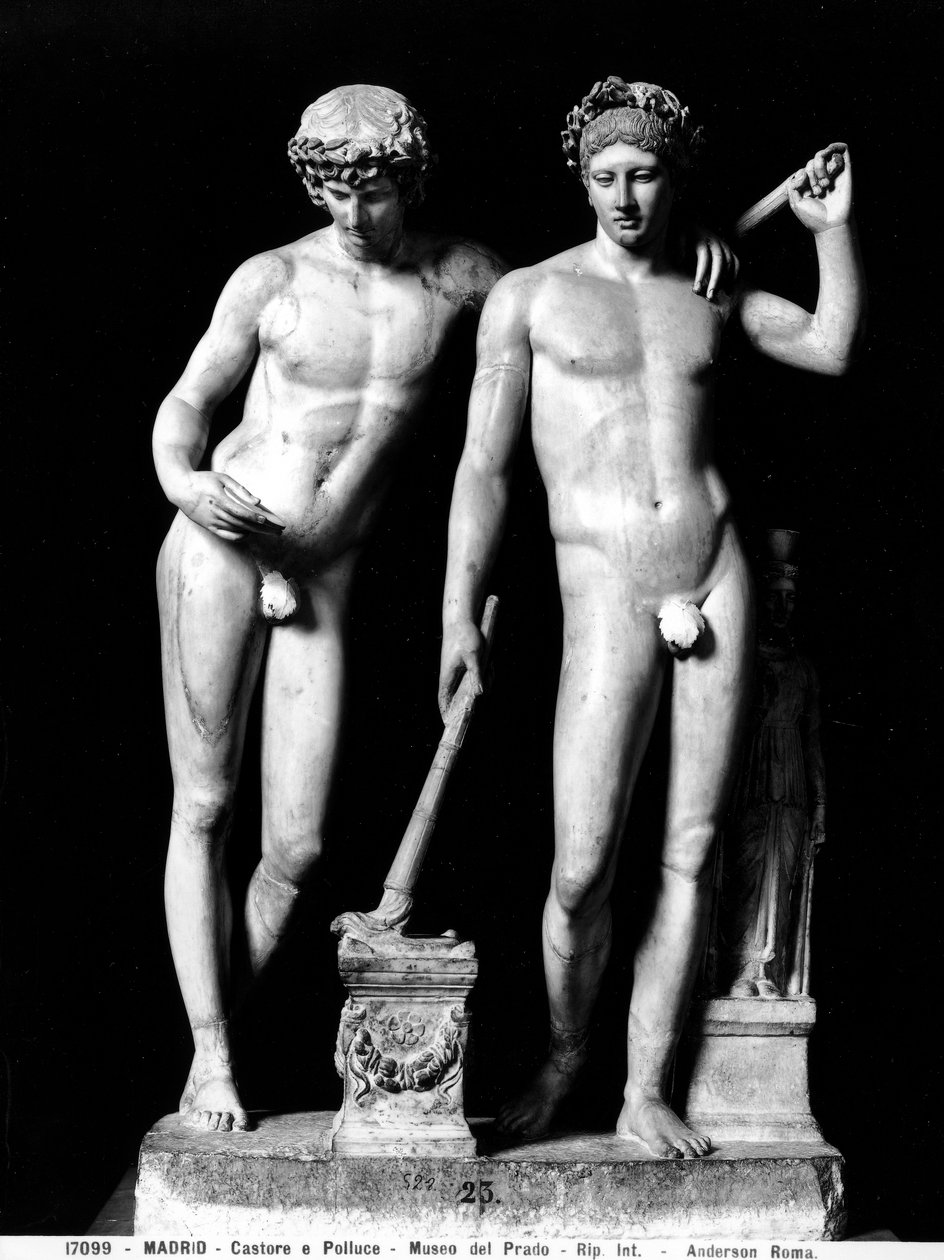 Castor ve Pollux veya Orestes ve Pylades, San Ildefonso'dan grup (mermer) (s/b fotoğraf) by Roman