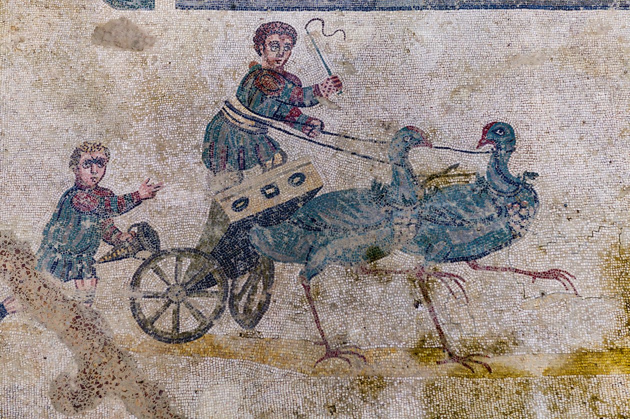 Kuşların çizdiği haritalarla araba yarışı (mozaik) by Roman