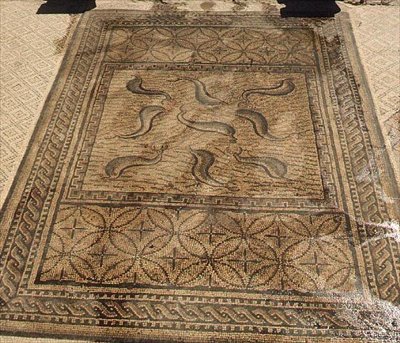 Yunuslar, Orpheus Evi