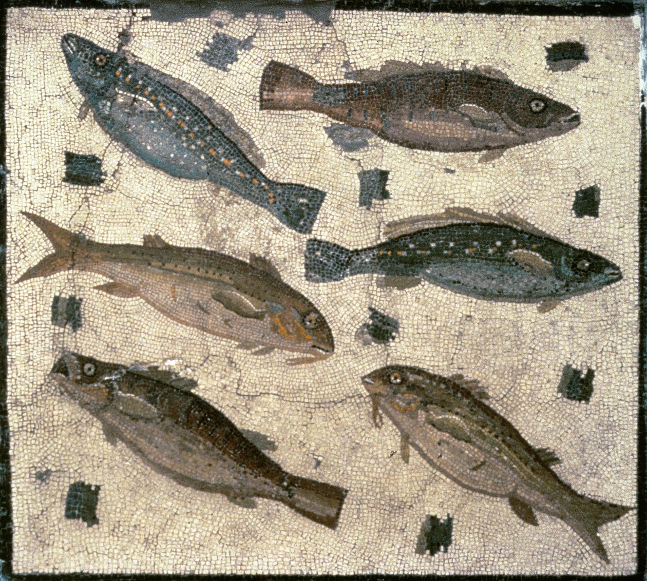 Balık (mozaik) by Roman