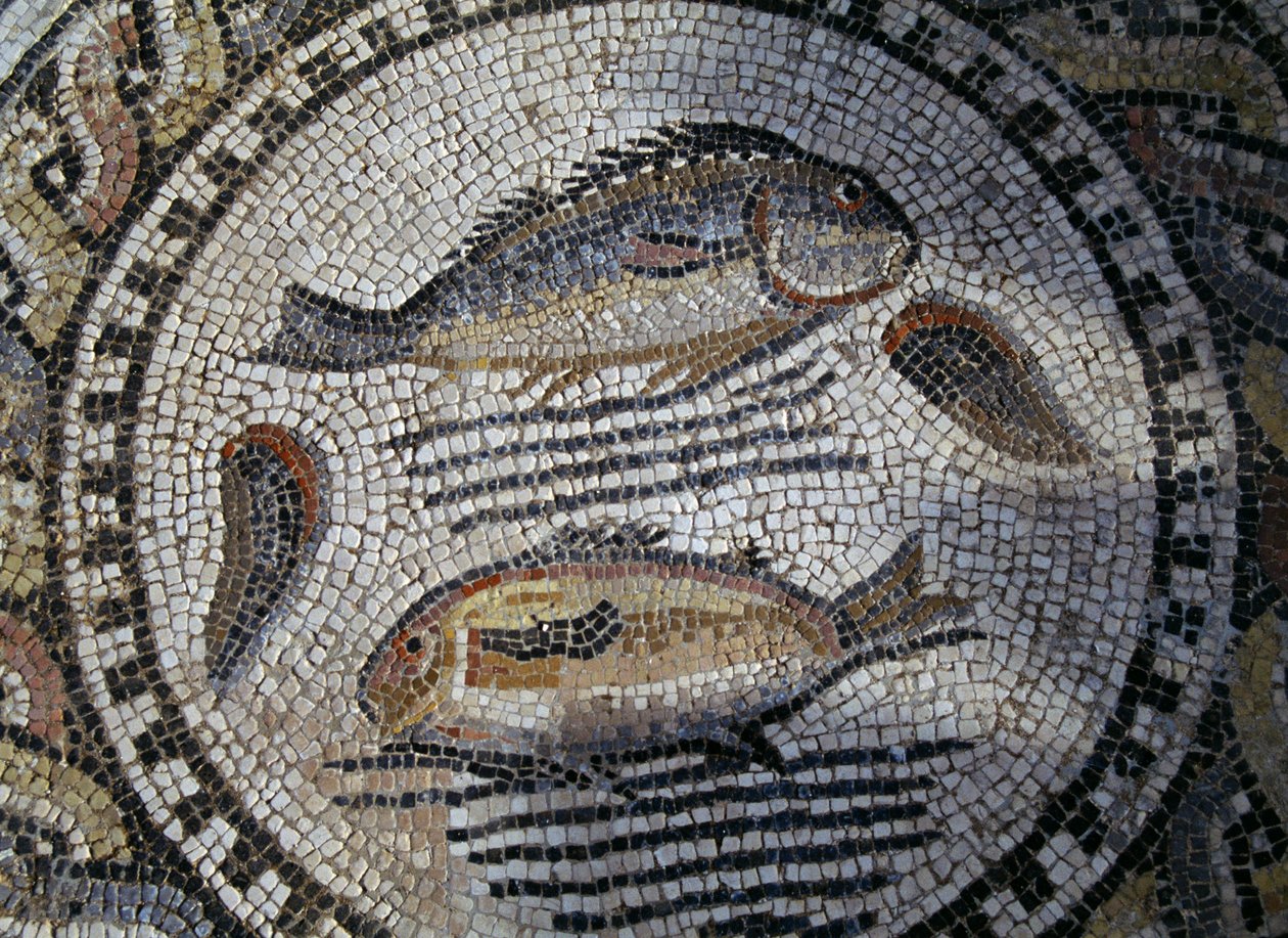 Roma şehri Volubilis