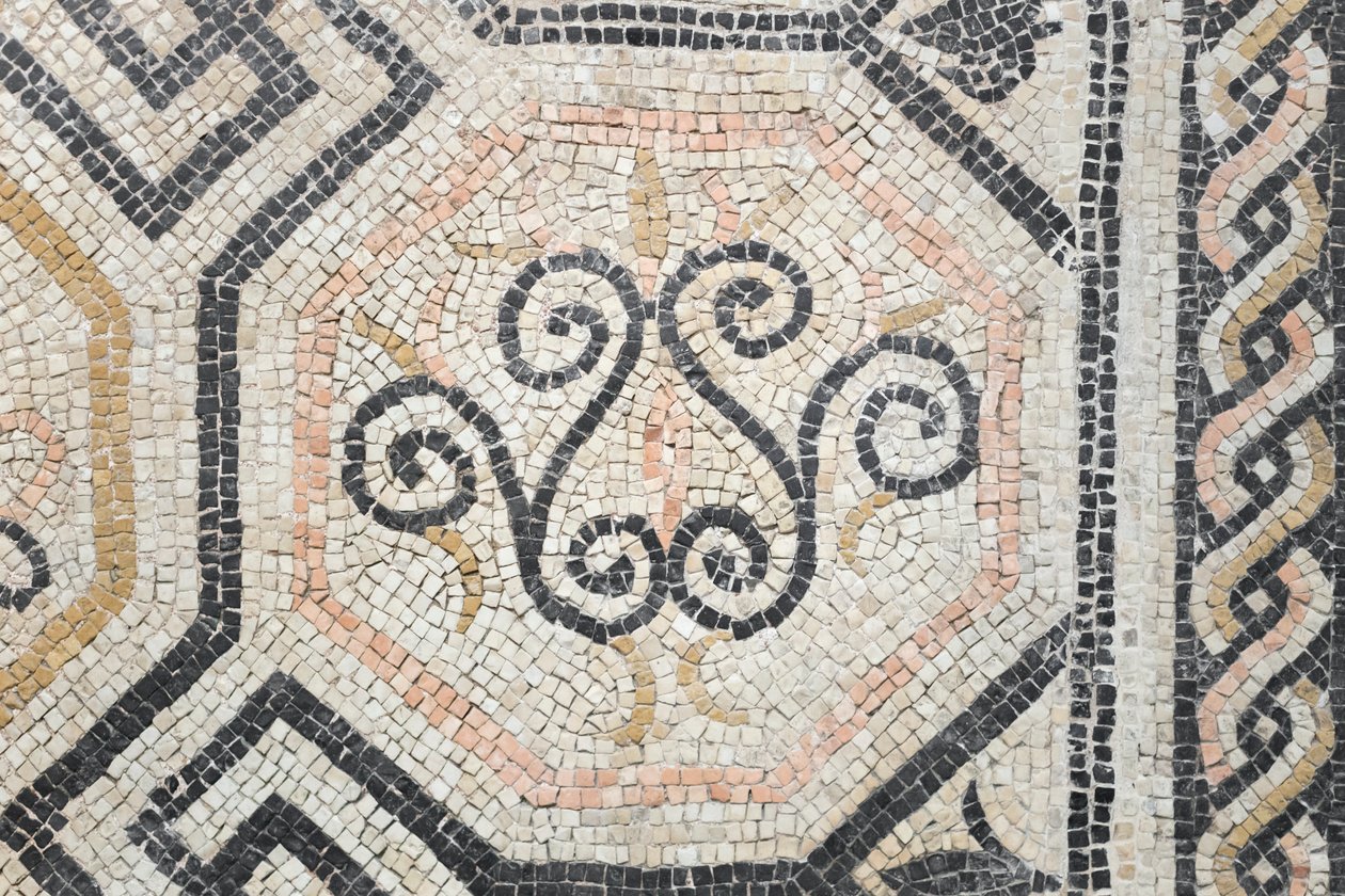Via san Rocchino domus