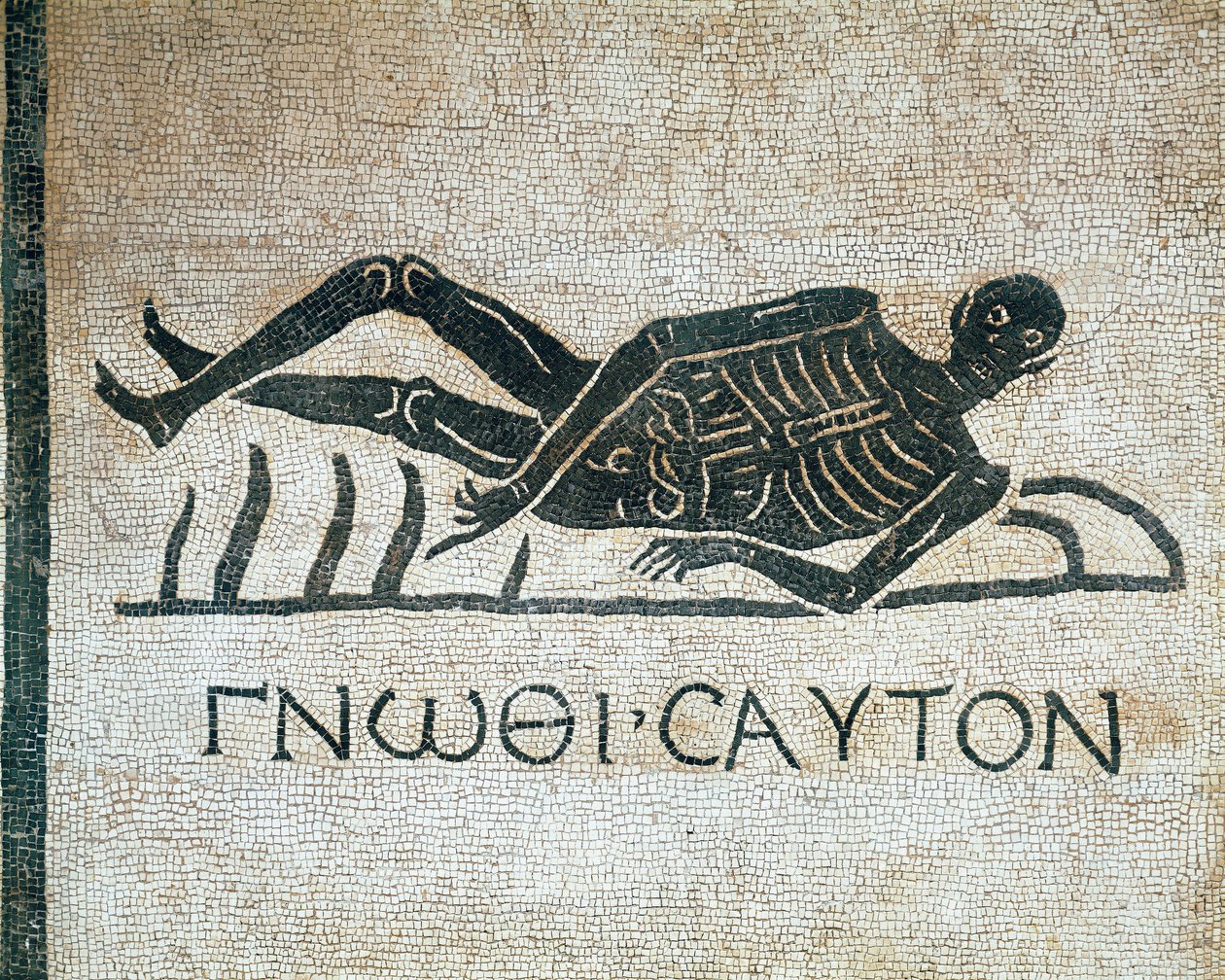 Gnothi seauton (Roma