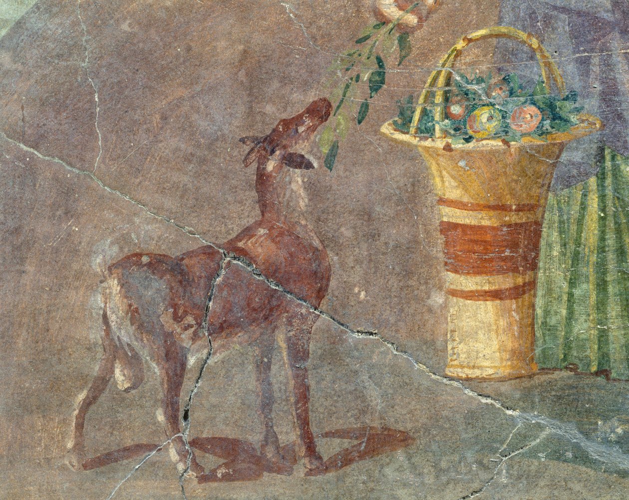 Keçi ve meyve sepeti, Pompeii, Campania, İtalya, Roma uygarlığından fresk by Roman
