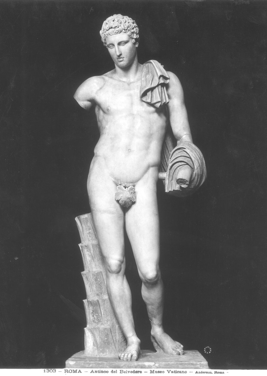 Antinous del Belvedere (mermer) denilen Hermes (s/b fotoğraf) by Roman