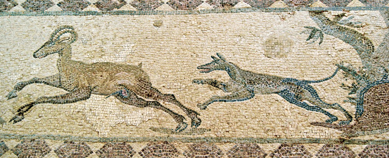 Av sahnesi, Dionysos Evi, Baf, Kıbrıs (mozaik) by Roman