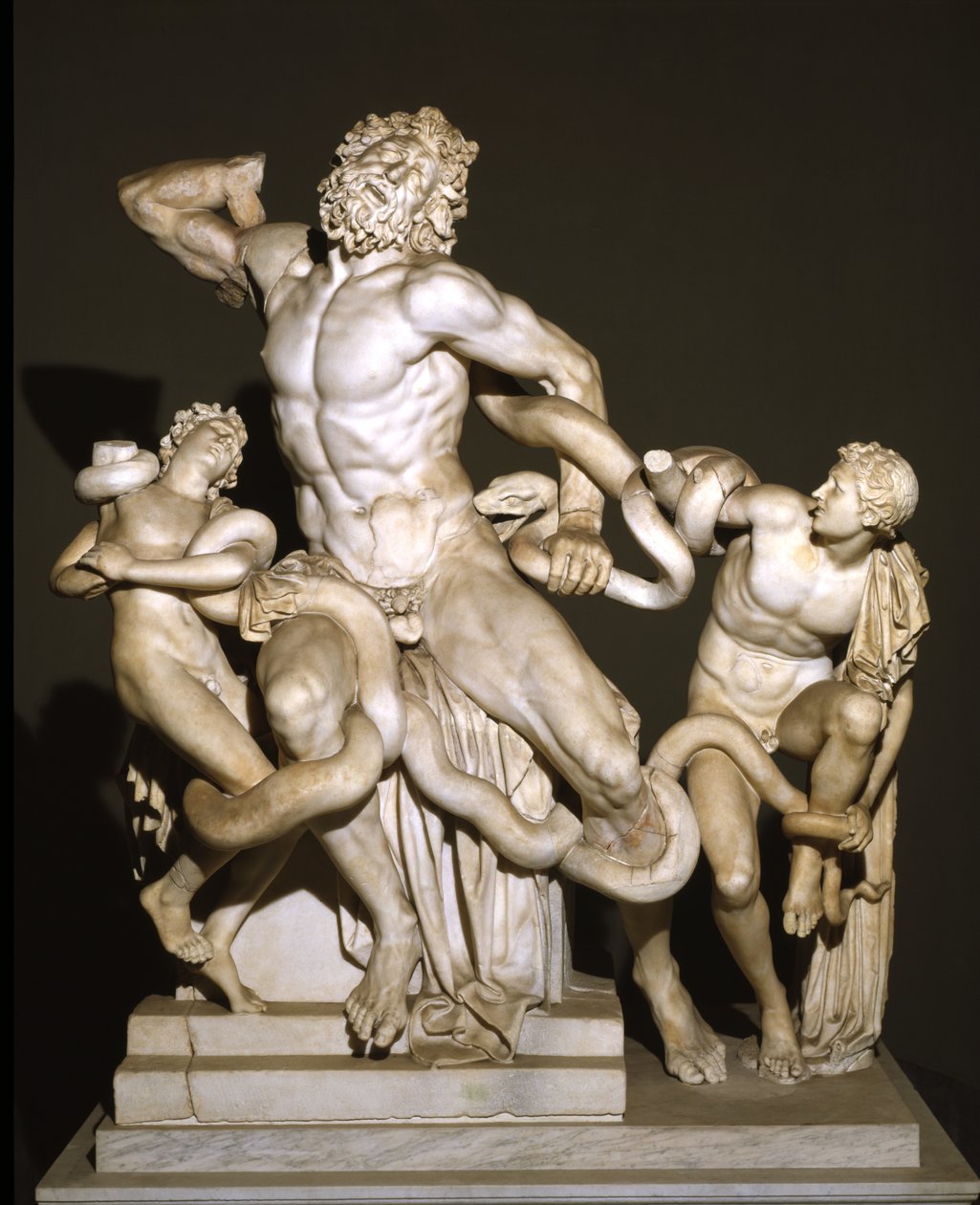 Laocoön ve Oğulları (mermer) by Roman