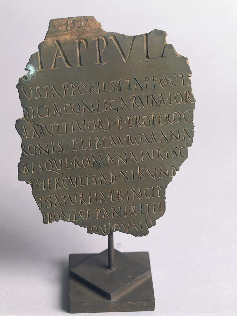 Lex Tappula, Vercelli