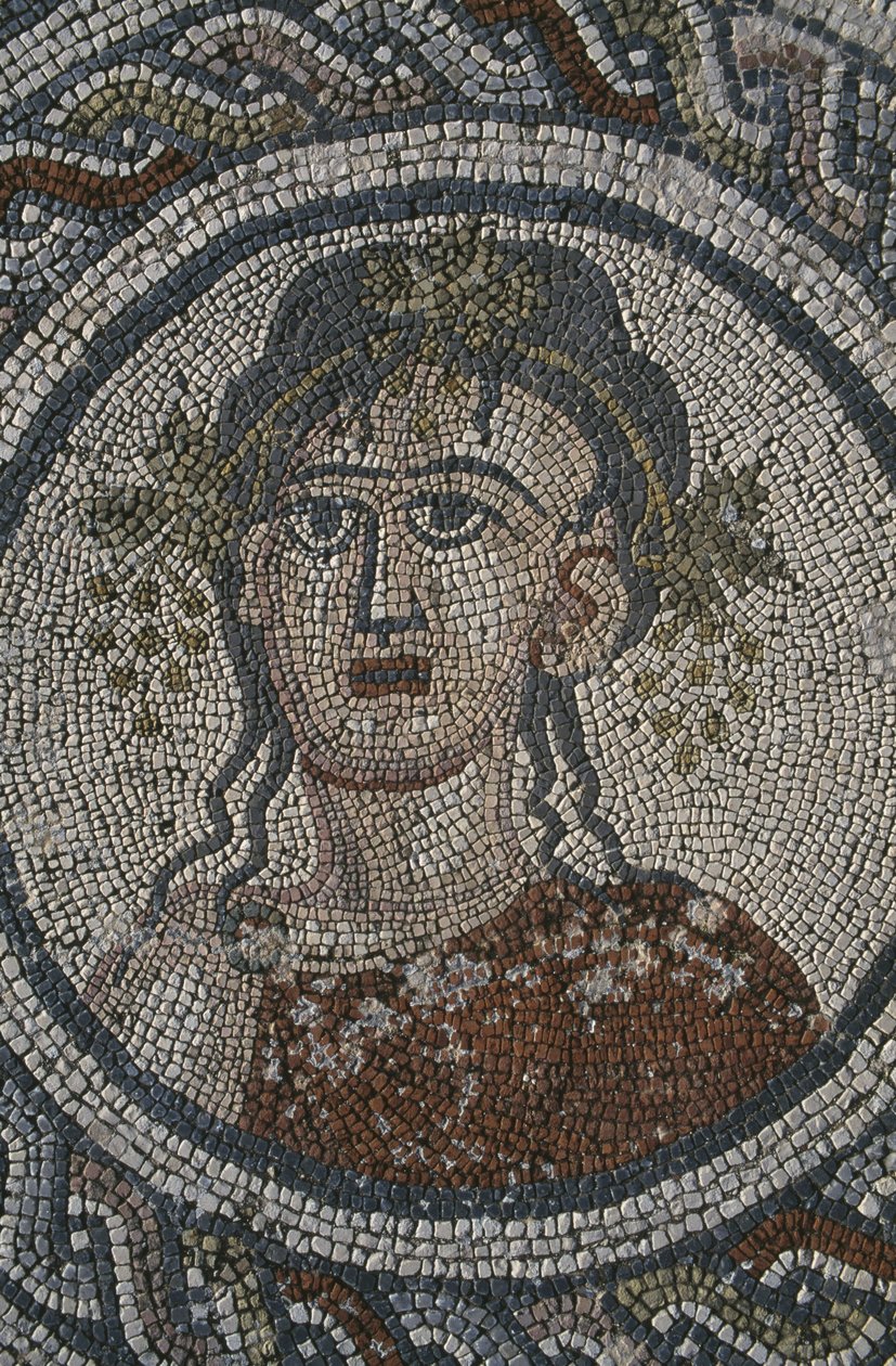 Dört Mevsim'i betimleyen mozaik, 'Dionysos'un Evi, detay, kafa (mozaik) by Roman