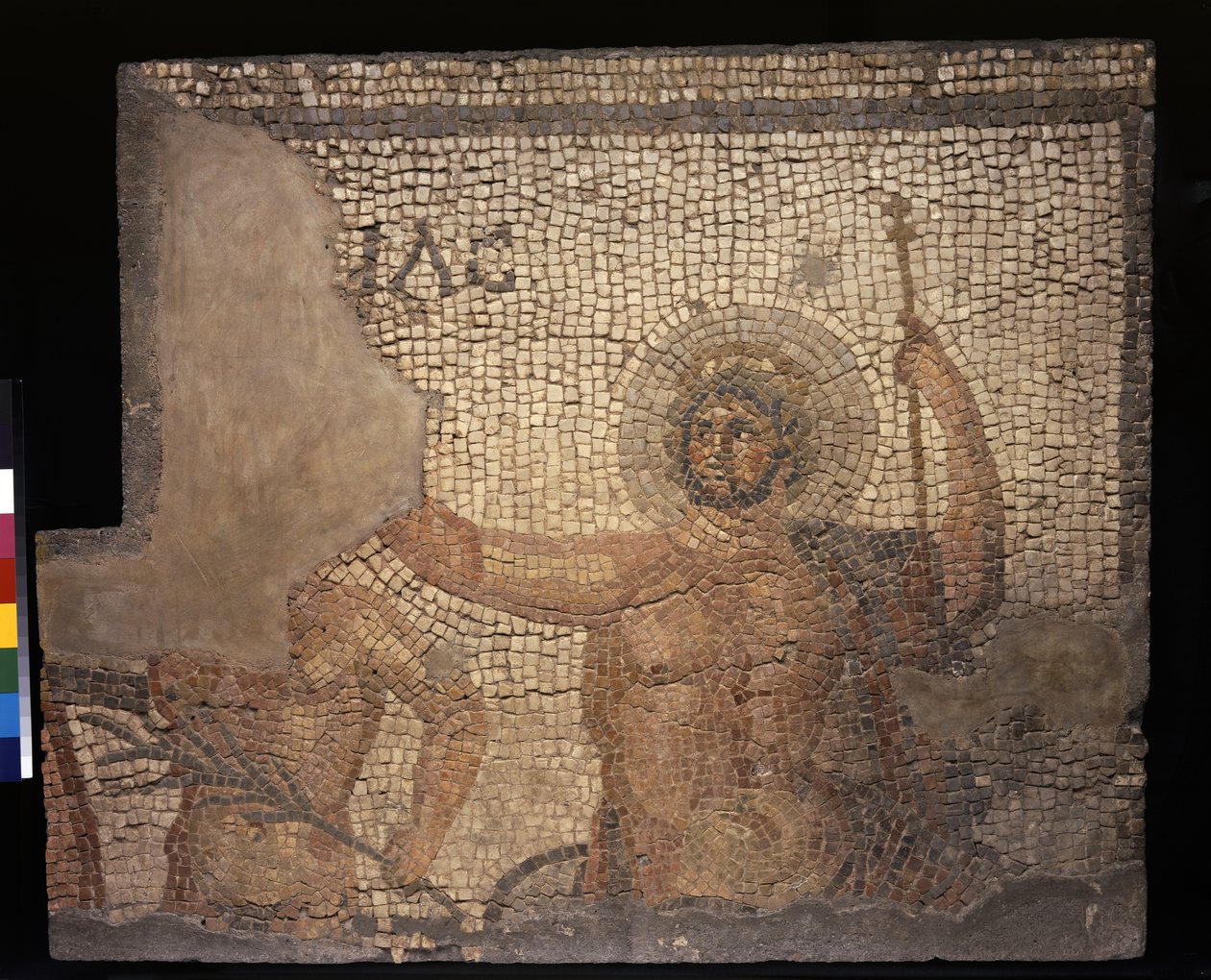 Menander Evi