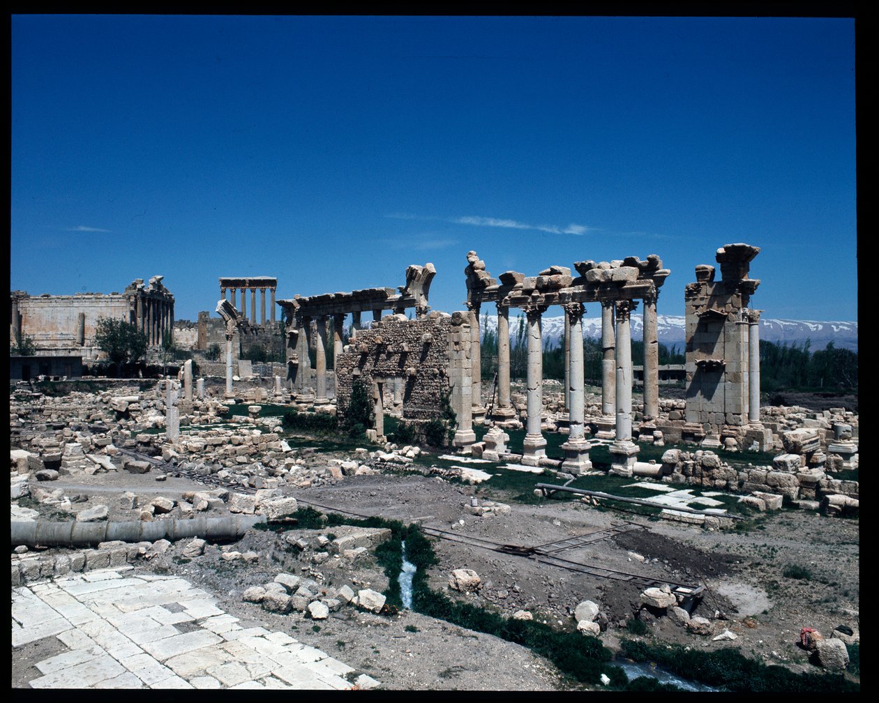 siteden geriye kalanlar by Roman