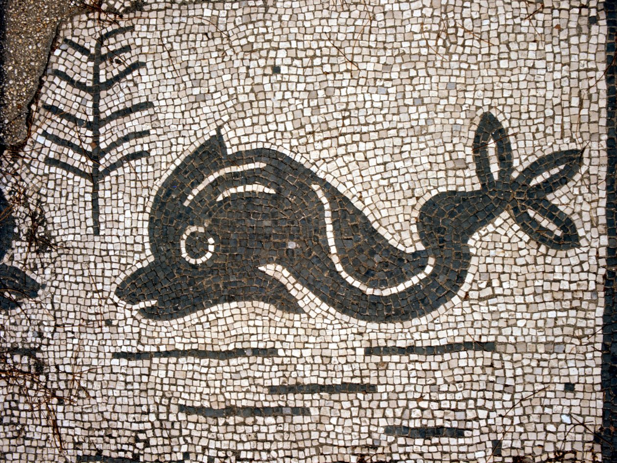 Corporazioni of Ostia (Ostia) antica meydanında bir mozaikten sonra bir yunus temsili. by Roman