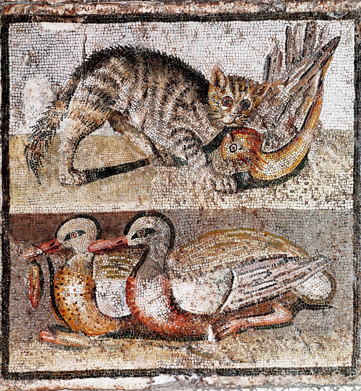 Roma Sanatı: Bir kekliği ve iki ördeği yakalayan vahşi bir kediyi betimleyen mozaik. 200-150 M.Ö. Roma, Museo Nazionale Romano - Roma sanatı: bir kekliği ve iki ördeği yakalayan vahşi bir kediyi betimleyen mozaik. 200-150 M.Ö. Museo Nazionale Romano, Roma, by Roman