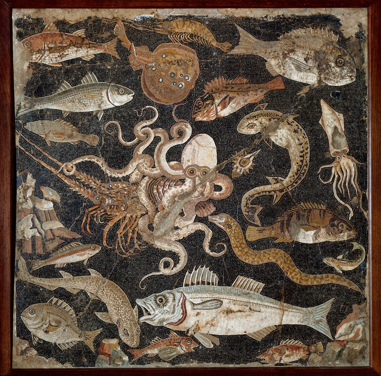 Roma sanatı: “” Deniz faunası”” 2. yüzyıl mozaiği. Napoli, Museo Archeologico Nazionale, env. 120177 - Roma sanatı: Deniz yaşamı. MÖ 2. yüzyıl mozaiği. Ulusal Arkeoloji Müzesi, env. 120177, Napoli, İtalya. by Roman