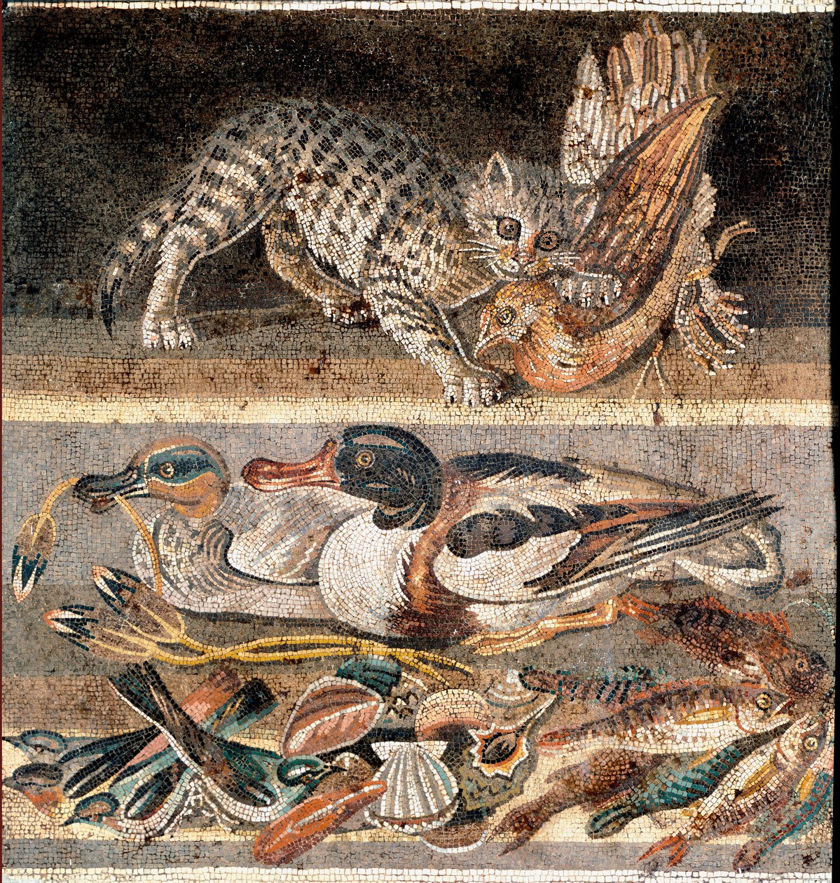 Roma sanatı: keklik yiyen kedi ve yaban ördekleri MÖ 1. yüzyılın ilk yarısı) Roma, Museo Nazionale Romano by Roman