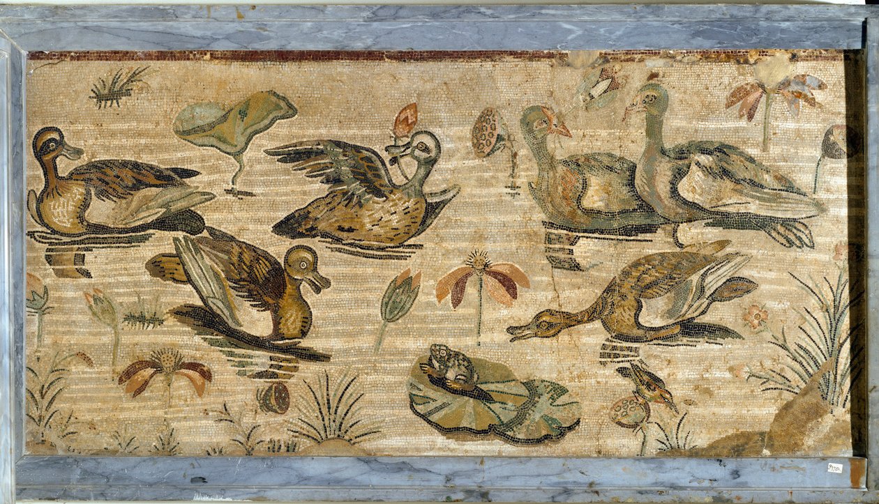 Roma sanatı: bir gölette ördek, kurbağa ve nilüferler. Pompei