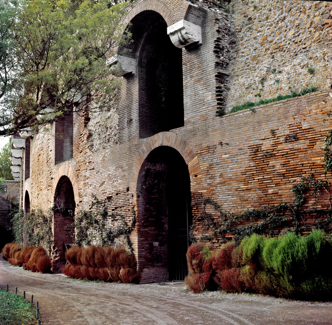 Roma sanatı: domus aurea veya Doree Evi