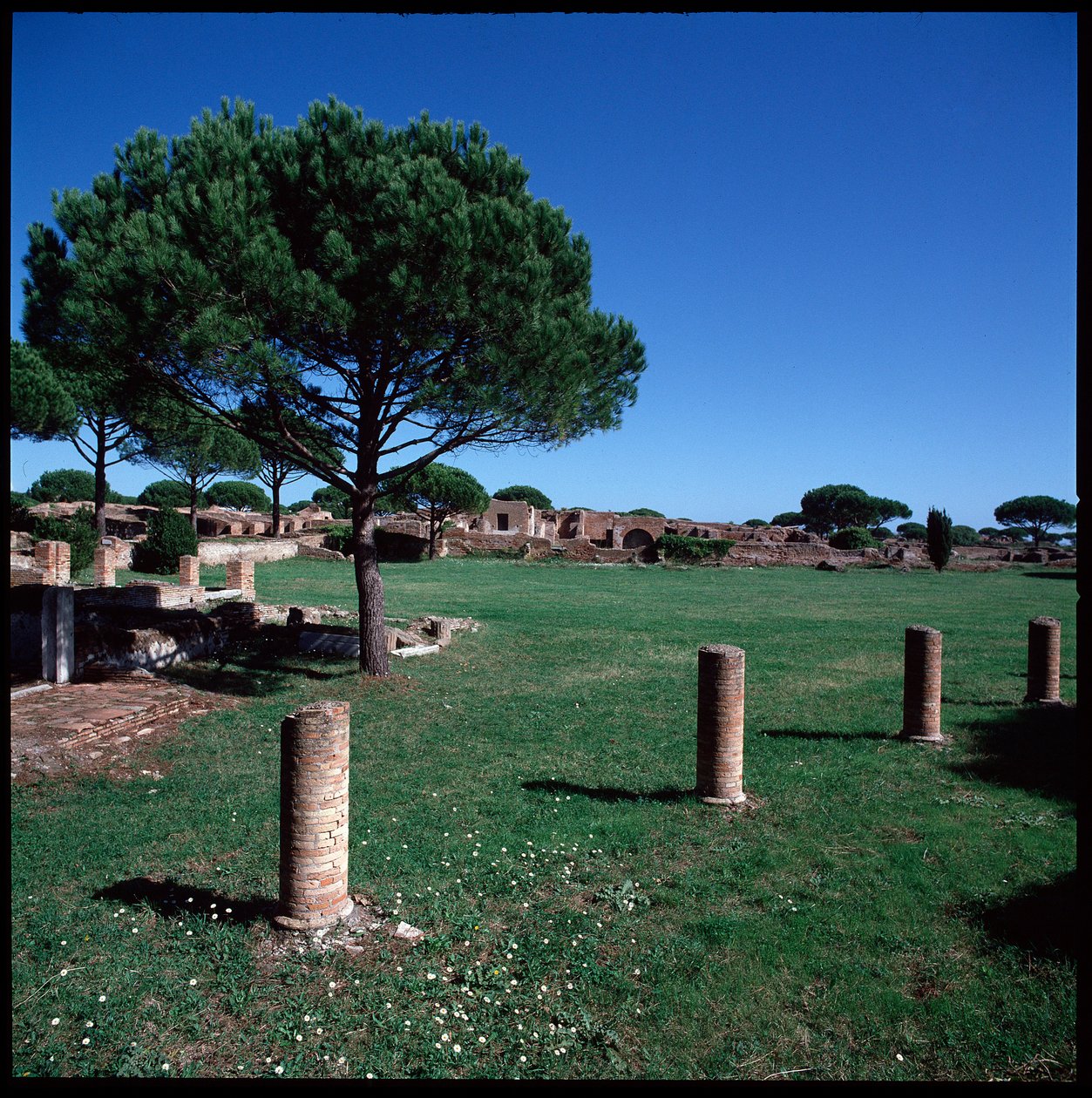 Roma sanatı: Campo della Magna Mater kalıntılarının görünümü, bölge IV by Roman