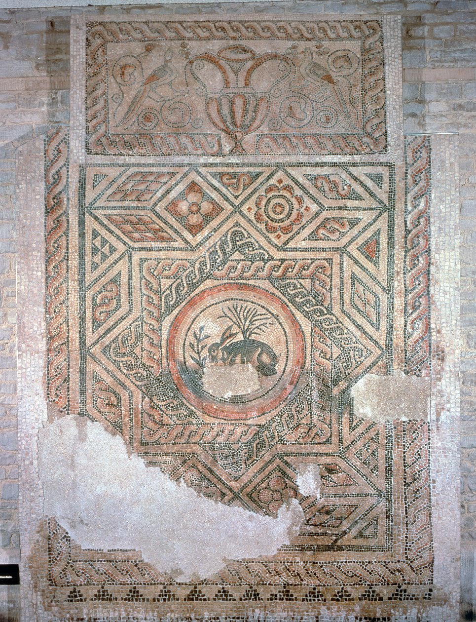 Hare mozaiği, MS 350 (mozaik) by Roman
