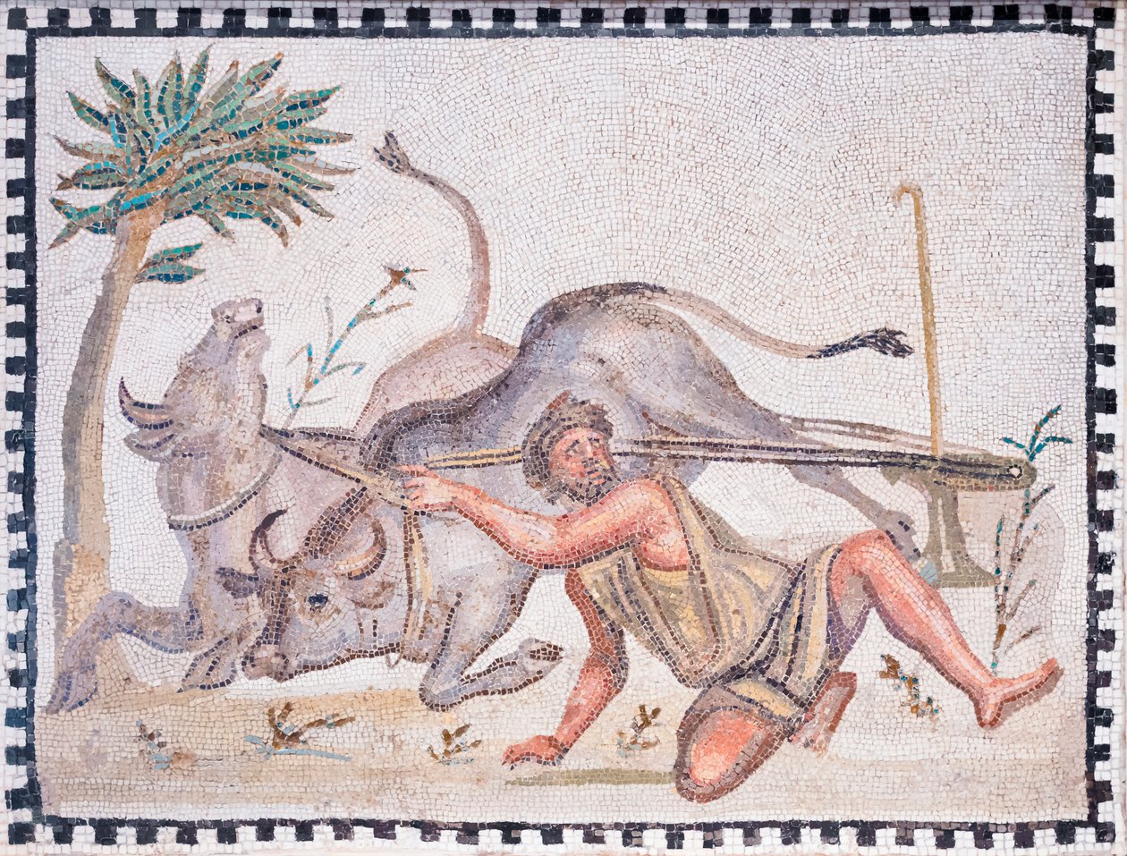 Öküzlü sabancı, 3.-4. yüzyıl (mozaik) by Roman