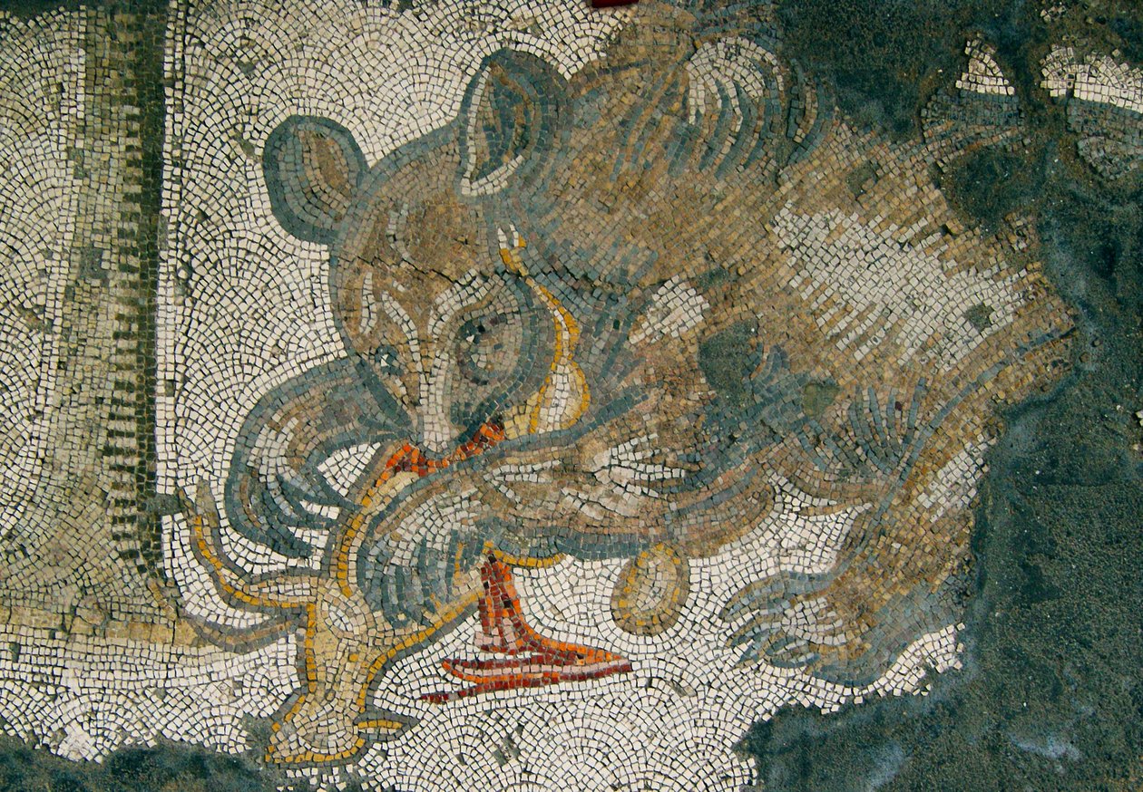 Bilinmeyen resim by Roman