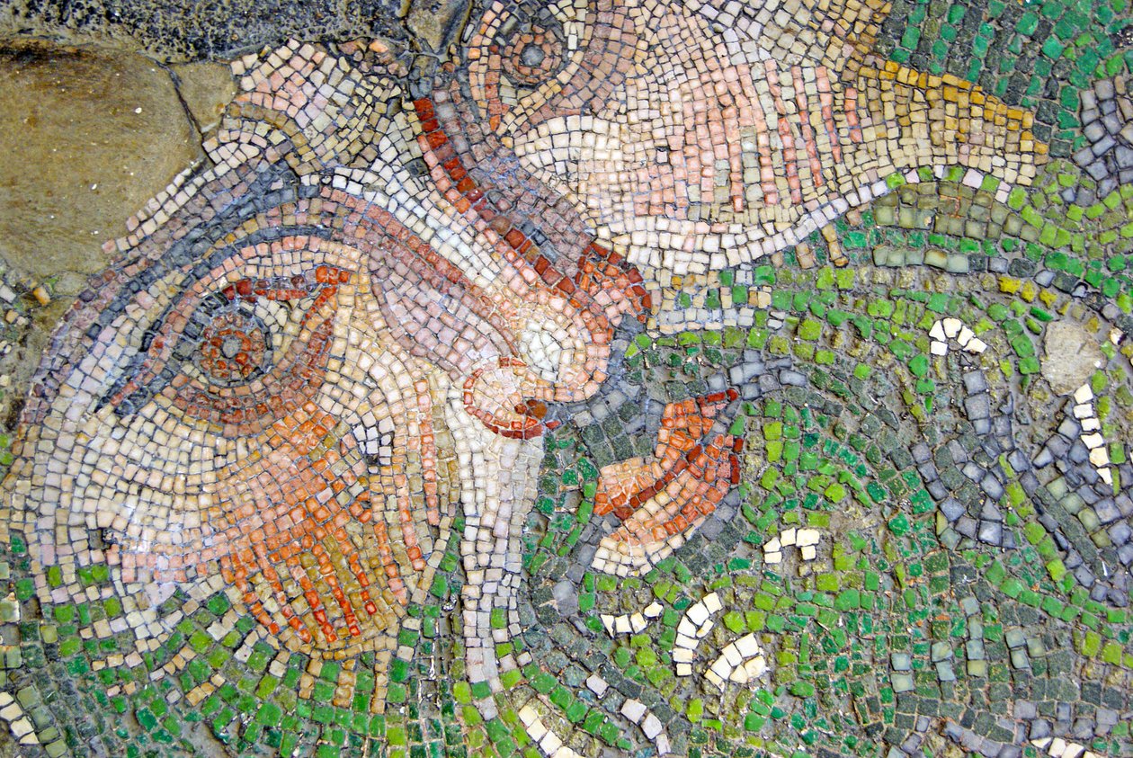 Bilinmeyen resim by Roman
