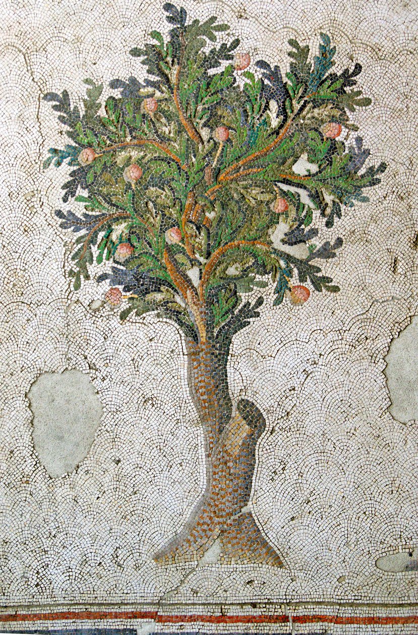 Bilinmeyen resim by Roman
