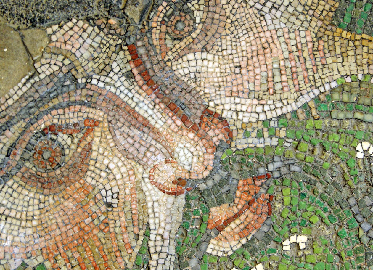 Bilinmeyen resim by Roman
