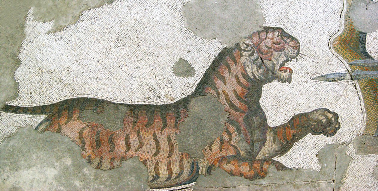 Bilinmeyen resim by Roman