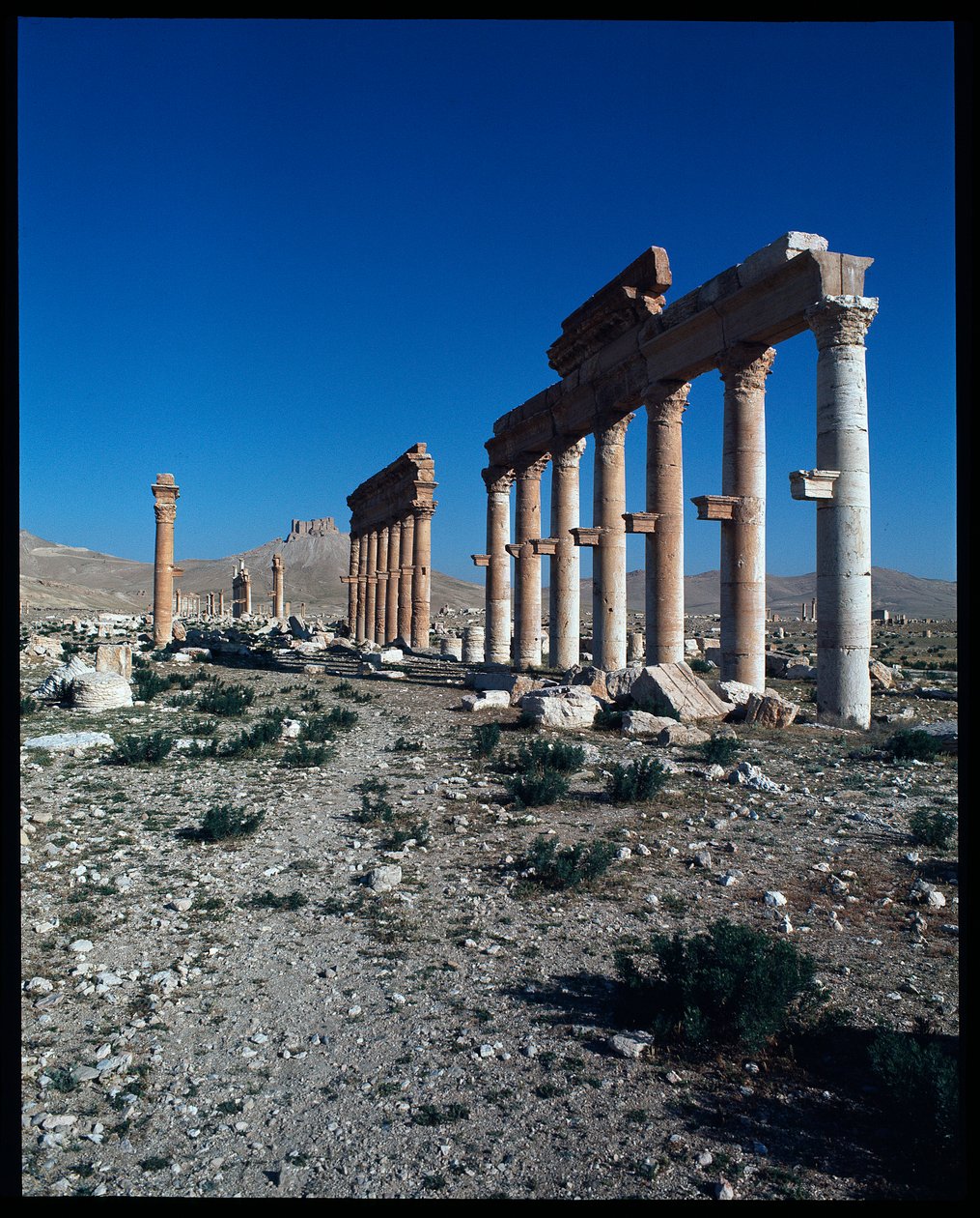 Palmira kalıntılarının görünümü (Fotoğraf) by Roman