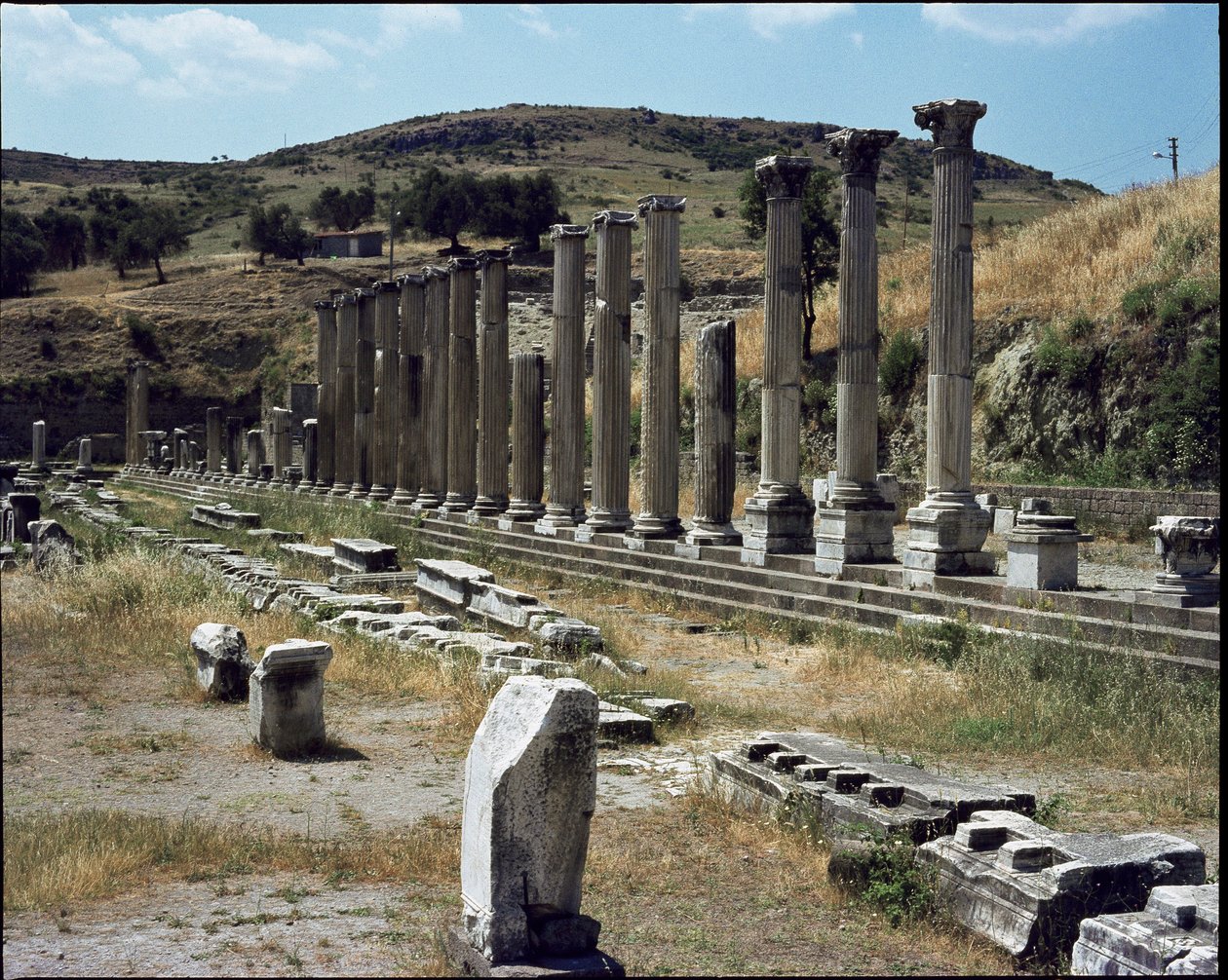 Asklepios tapınağının görünümü (MÖ 283 - 133) by Roman