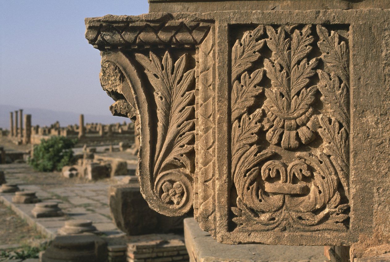Oyma bezemeli mimari parça, Sertius Çarşısı, Yüksek İmparatorluk Dönemi (M.Ö. 27 - MS 395) by Roman Imperial Period