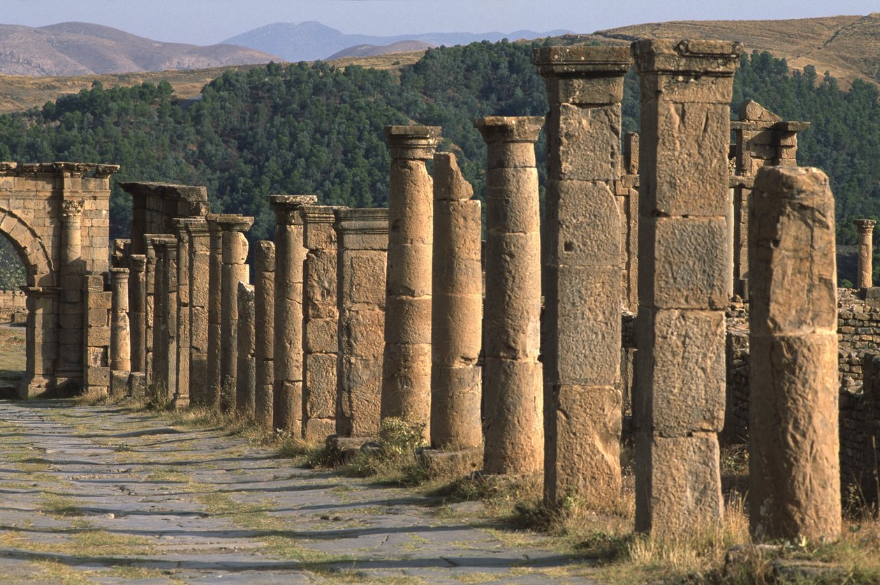 Cardo, Yüksek İmparatorluk Dönemi (27 M.Ö.-395 AD) by Roman Imperial Period