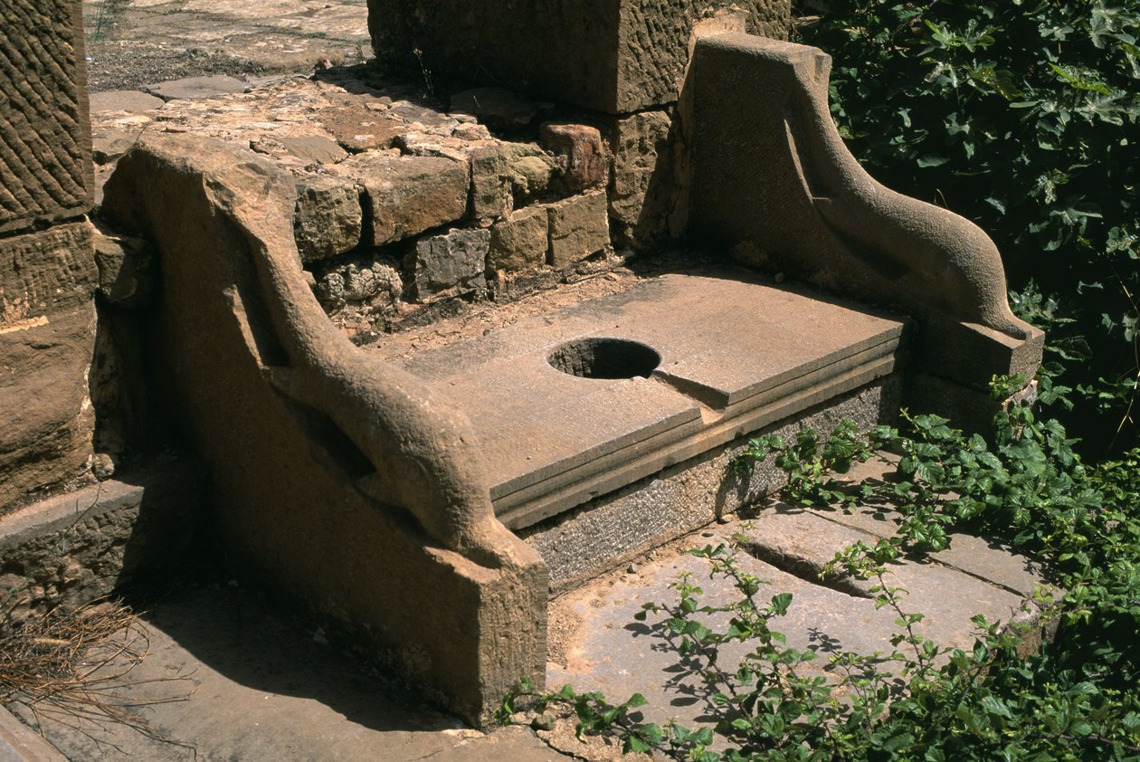 Dolphin forumun umumi tuvaleti; Yüksek İmparatorluk Dönemi (27 M.Ö.-395 AD) by Roman Imperial Period