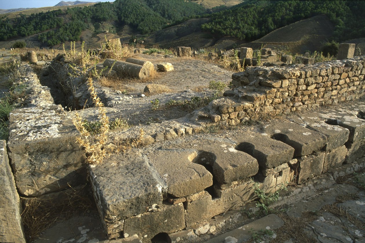 Ortak bir tuvaletin görünümü, Yüksek İmparatorluk Dönemi (M.Ö. 27-395) by Roman Imperial Period