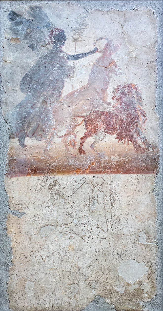 Bir aslanı delip geçen bir eşek, tanrıça Victoria tarafından taçlandırılmış, gladyatör dövüşü grafitisinin altında, bir dükkanın amblemi by Roman Roman